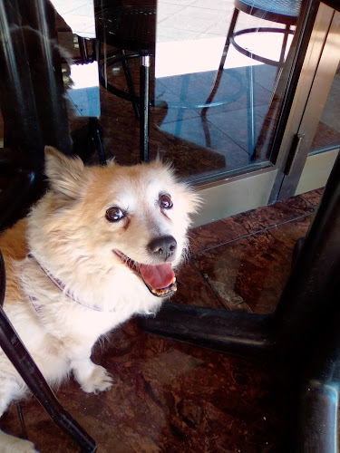 Comentarii opinii despre Confiteria Martinez