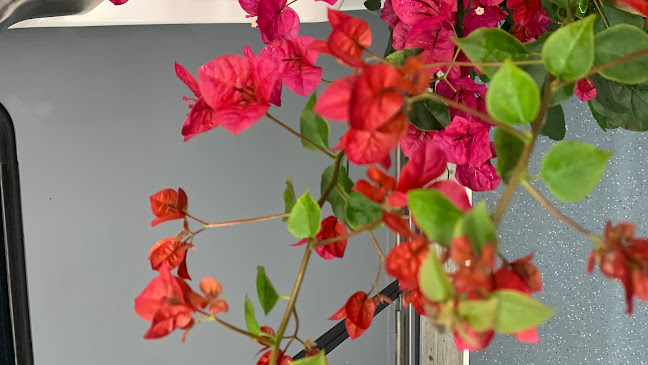 Morjane Bar Restaurant - Gastronomía y hostelería