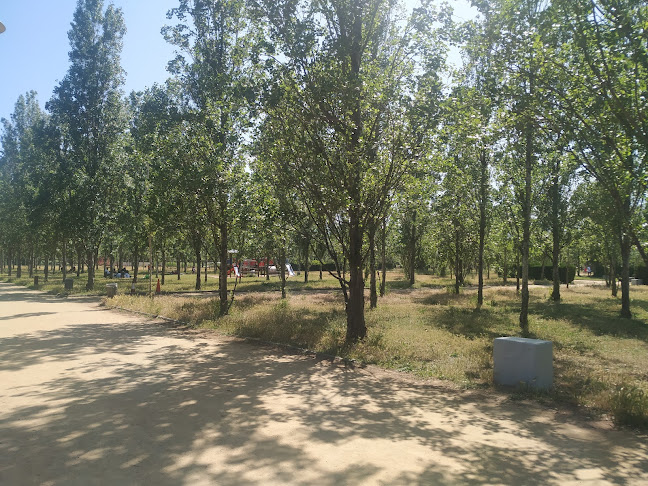 Carrer de la Carretera de l'Aviació, 05, 08820 El Prat de Llobregat, Barcelona