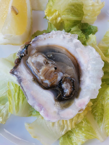 Opinii despre Casa Gallega Coma-Ruga în Coma-ruga - Gastronomía y hostelería