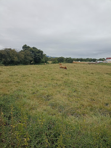 TGT ASTURIAS - Gastronomía y hostelería