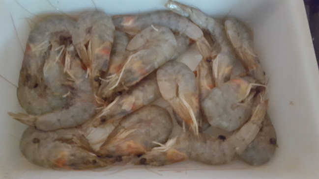 Bar Restaurante Raul - Playa San Juan