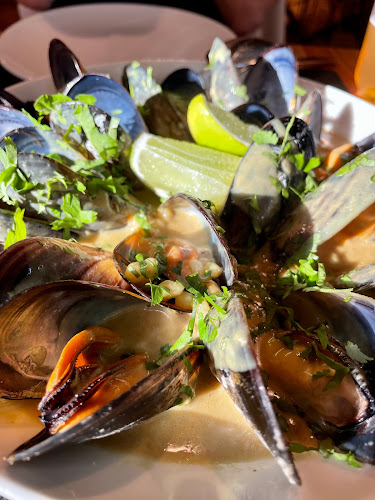 Comments and reviews of Bardero