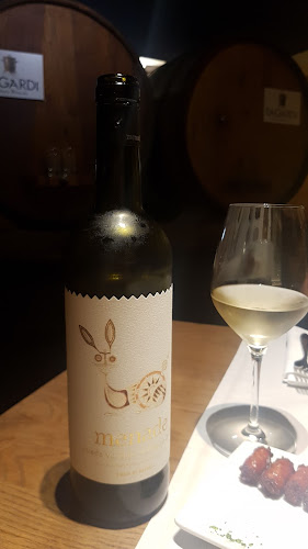 Comentarii opinii despre Sagardi Muntaner