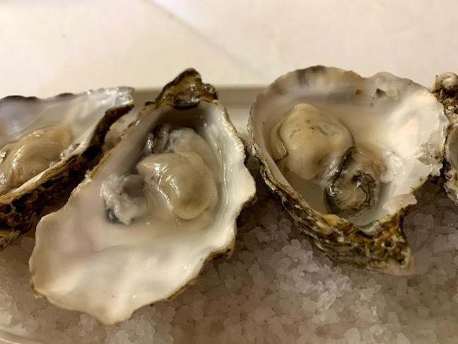 Comments and reviews of El Vermut