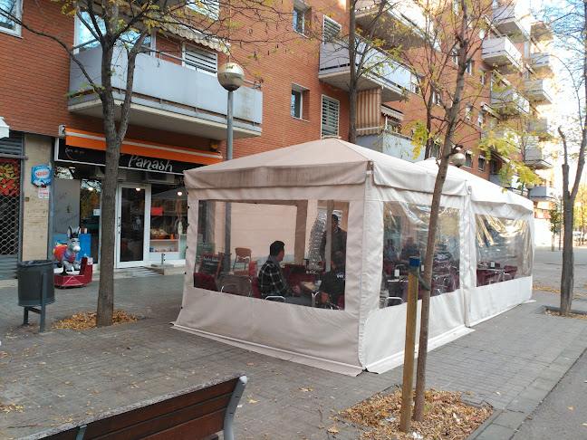 Comentarii opinii despre Panash