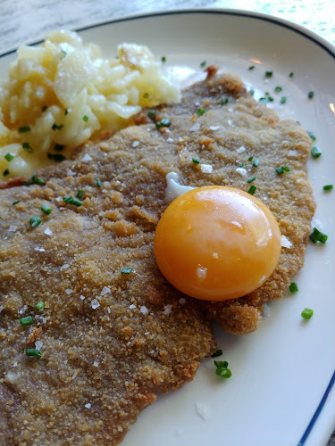 Teckel Madrid - Madrid