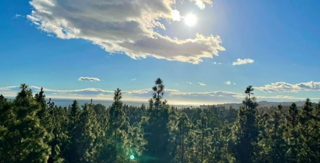 The Green Label Restaurant, Chaparral Golf Club - Las Lagunas de Mijas