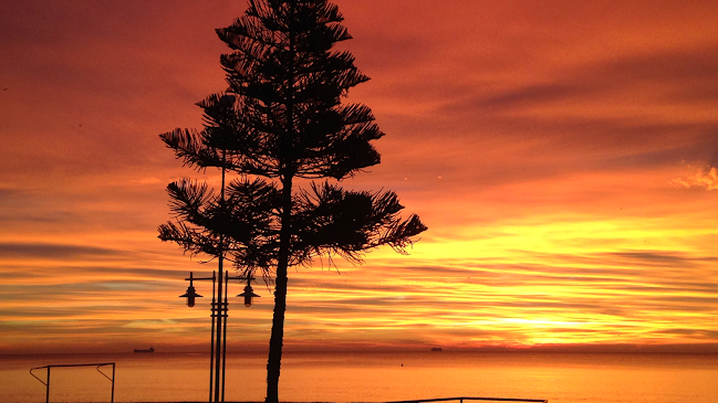 Mums cafetería cervecería heladería - Málaga
