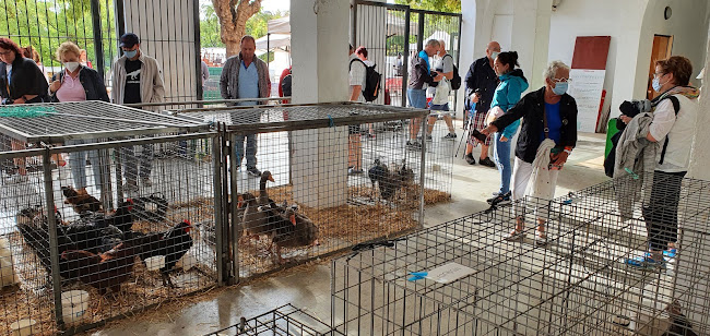 Mercat de Sineu - Palma de Mallorca