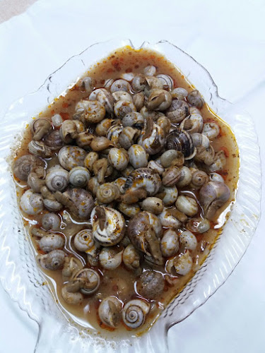 Comments and reviews of Bar Rte. El Paso