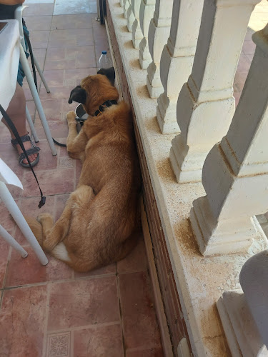 Restaurante la Pinada - Gastronomía y hostelería