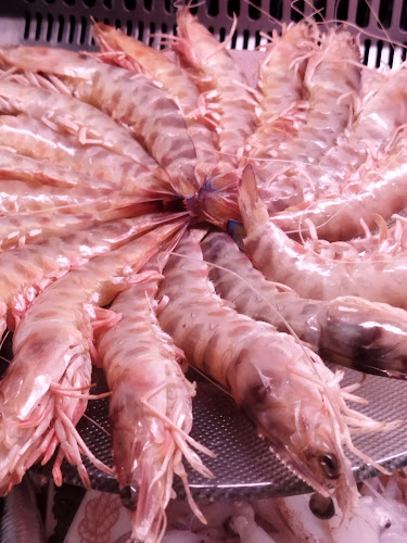 Restaurante Mesón José María Open Times