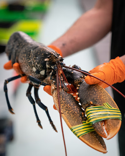 Comments and reviews of Pescado y Marisco Gallego COYOMAR