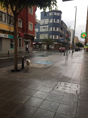 Comentarii opinii despre Minimercado Guanarteme