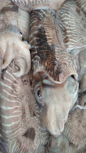 MERCADO MUNICIPAL DE CABO DE GATA - Gastronomía y hostelería