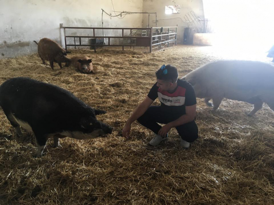 Comentarii opinii despre Es Recó by Antonio Serra charcuteria