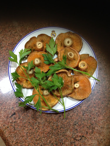 Galeón - Gastronomía y hostelería