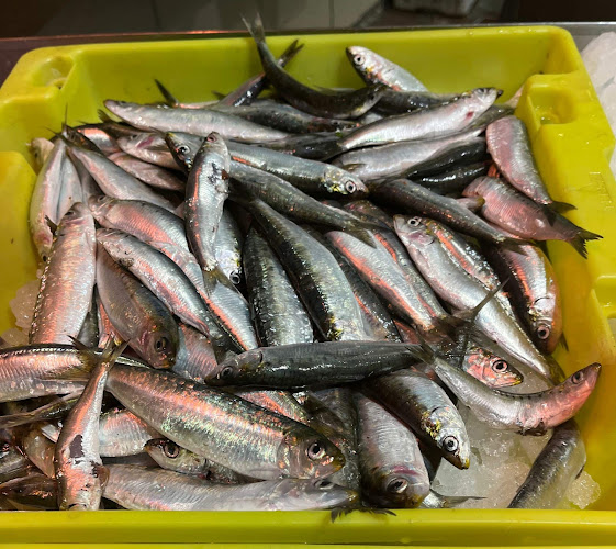 El Peix grup peixos joanmi - Barcelona