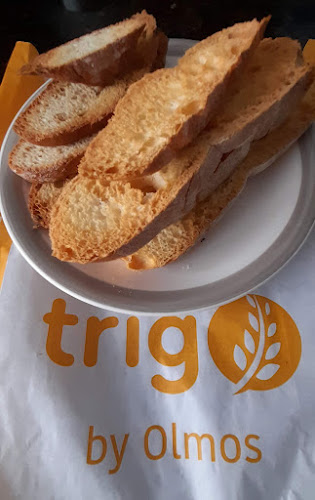 Comentarii opinii despre Trigo by Olmos