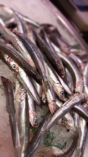 El Peix grup peixos joanmi Phone number