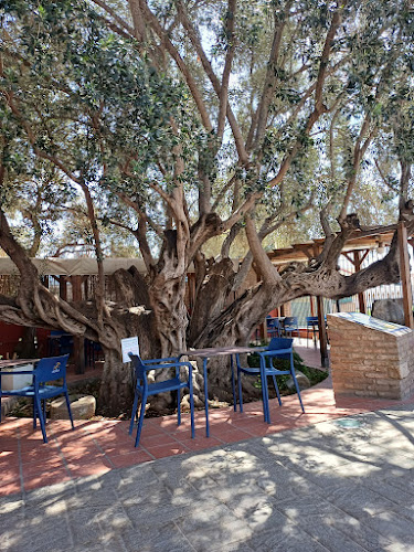 Camí del Mar, 56, 46132 Almàssera, Valencia