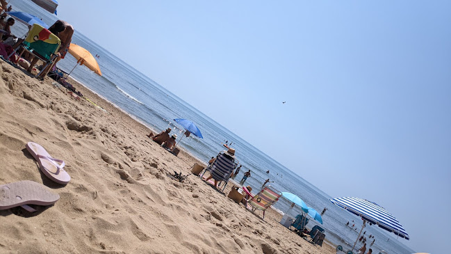 Chiringuito Obiol Open Times