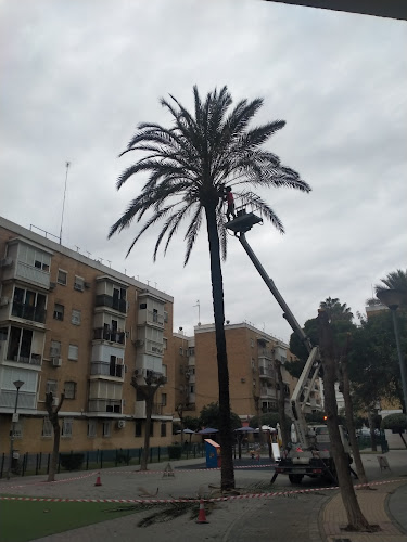 Peña Bética Frente Prosobético - Gastronomía y hostelería