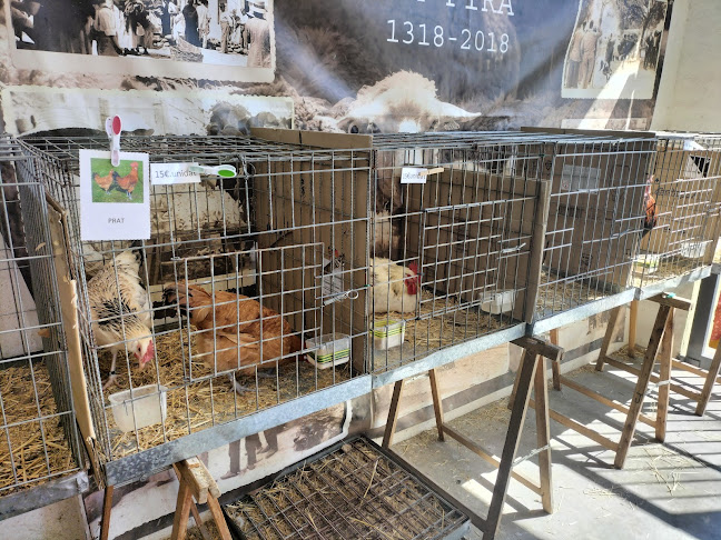Mercat de Sineu - Palma de Mallorca