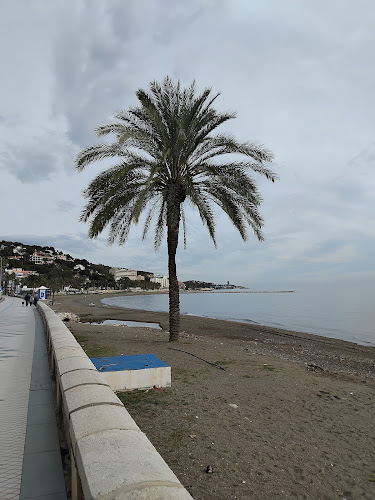 Chiringuito Oasis Playa - Málaga