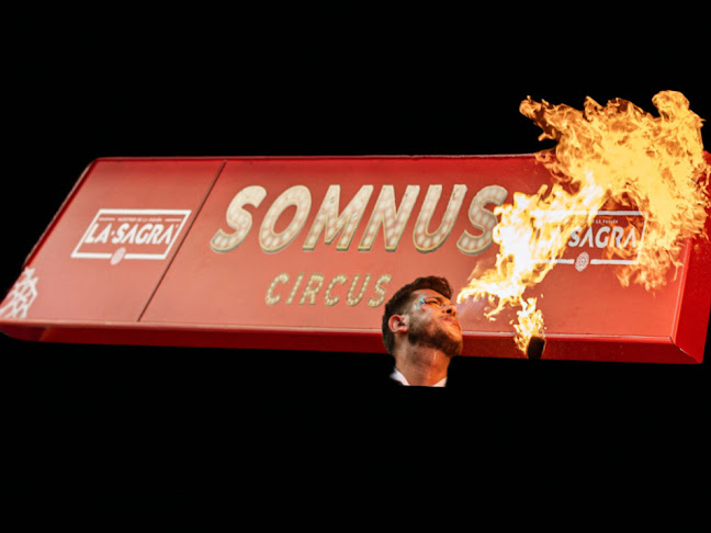 Somnus circus - Gastronomía y hostelería