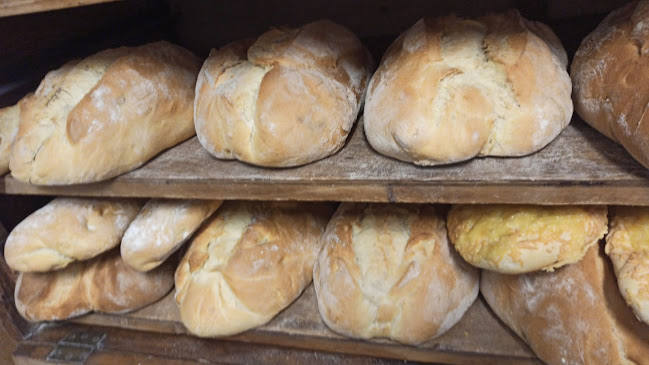 Forn María Antonia Conejero Alario - Gastronomía y hostelería