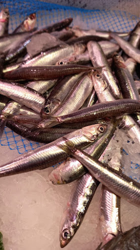 El Peix grup peixos joanmi - Gastronomía y hostelería