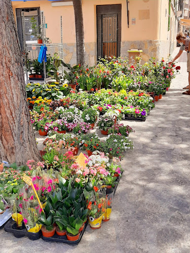 Son Sampol 26 Andratx - Gastronomía y hostelería