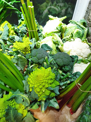 A tenda do Avó - Gastronomía y hostelería