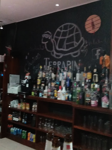 Comentarii opinii despre PUB TERRAPIN