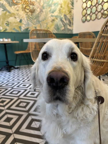 Opinii despre Seara Café în Madrid - Gastronomía y hostelería