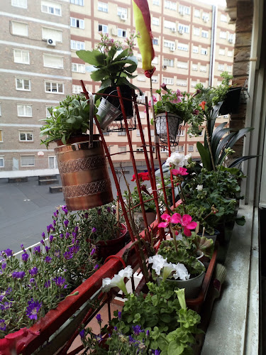 Bar Navarro 3 - Gastronomía y hostelería