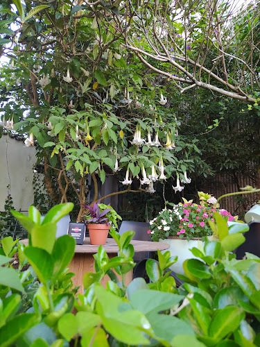 O xardín do Charlín - Ribeira