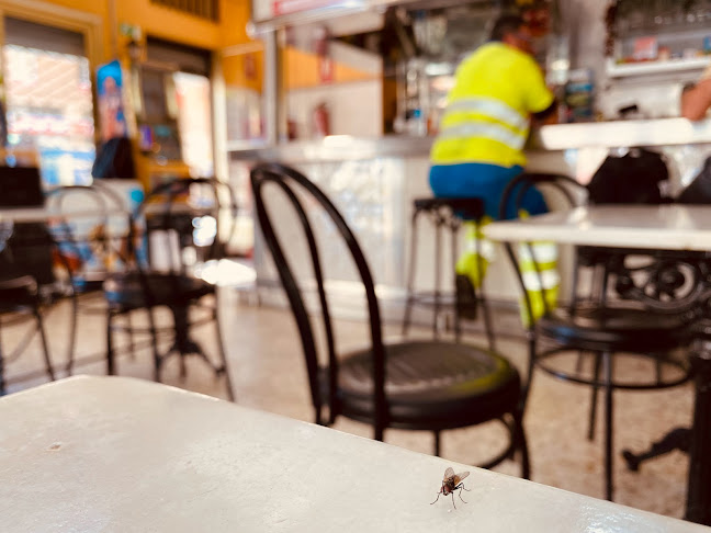 Opinii despre Bar Cumbres De Valsendero în Las Palmas de Gran Canaria - Gastronomía y hostelería