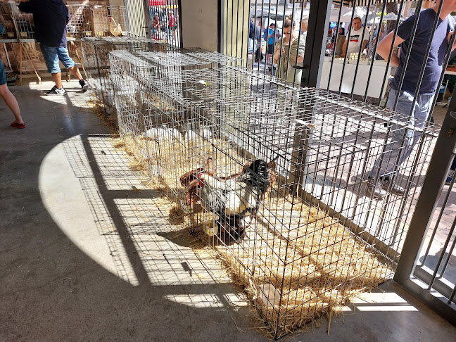 Comentarii opinii despre Mercat de Sineu