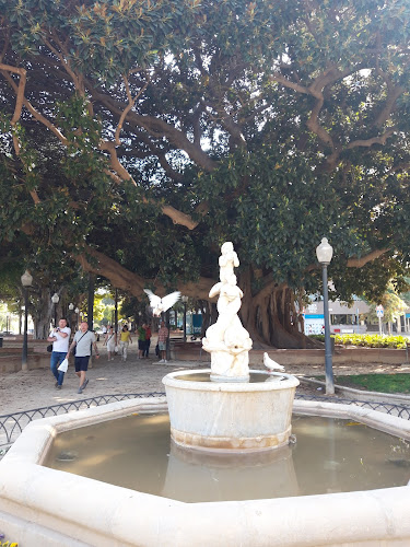 Reviews of El Mirador del Puerto in Alicante - Gastronomía y hostelería