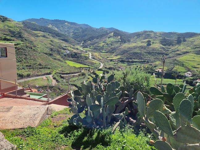 Bar Tienda Antonio Pinocha - Gáldar