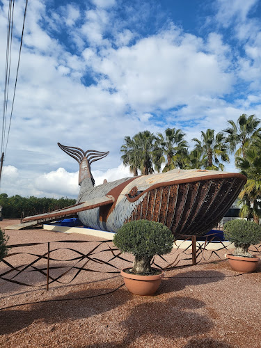 Restaurante Ca Aleix Open Times