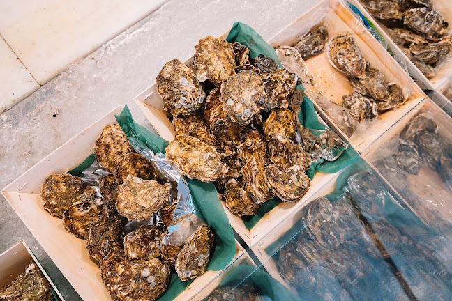 Ostrabar Valencia - Valencia