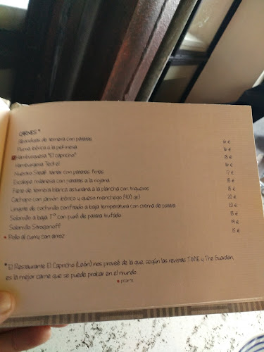 Comentarii opinii despre Teckel Madrid