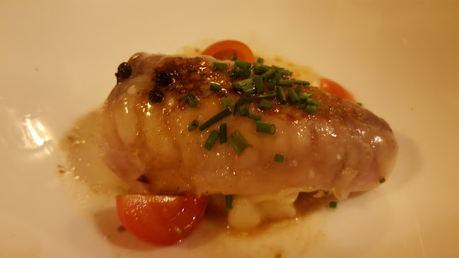 AKARI VASCO JAPONES Open Times