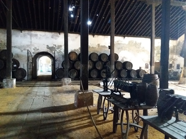 Casa Adolfo - Chiclana de la Frontera