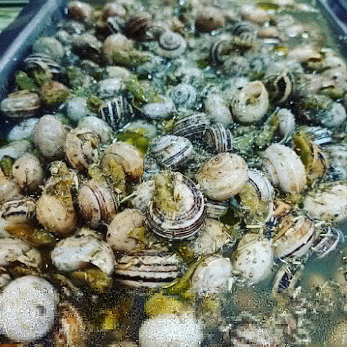 Opinii despre La taberna în Murcia - Gastronomía y hostelería