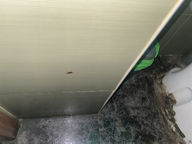 UMAR Kebab Pizzería